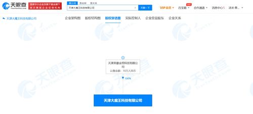 軟件開發(fā) 從構思到實現的創(chuàng)新之旅
